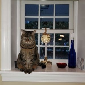 Meet your Posher, Cyndi